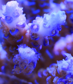 banner-bg