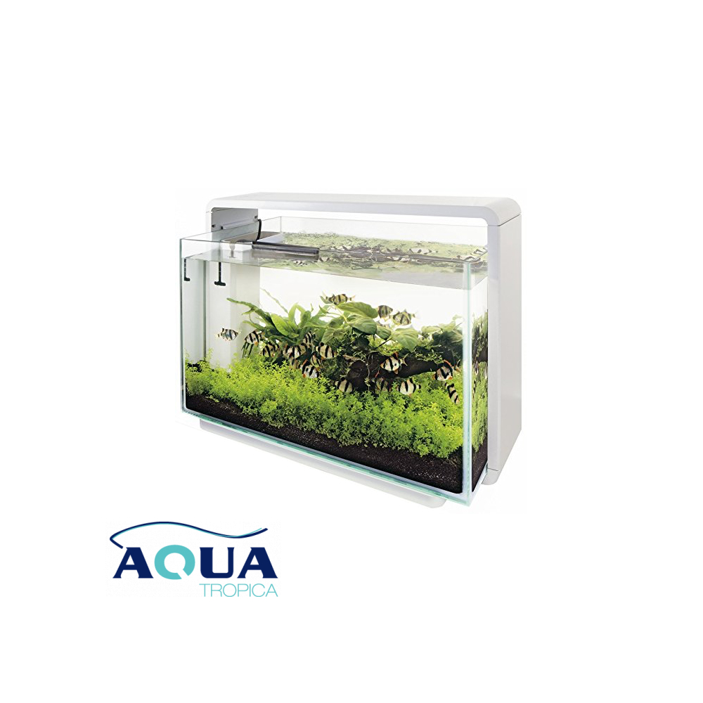 SuperFish Aquarium Home 65 • Aquatropica