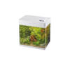 panaroma 20 led